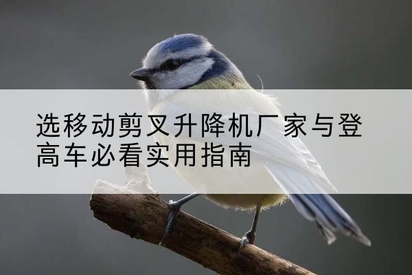 瑞金电动升降机厂家-选移动剪叉升降机厂家与登高车必看实用指南