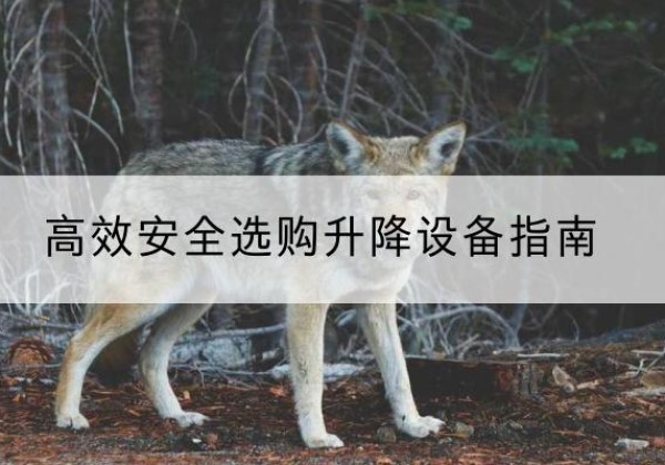瑞金升降货梯厂家推荐-*安全选购升降设备指南
